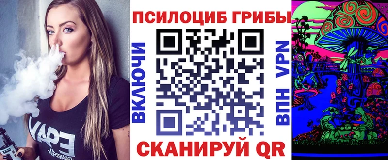 Псилоцибиновые грибы MAGIC MUSHROOMS  Купить где  Чернушка 