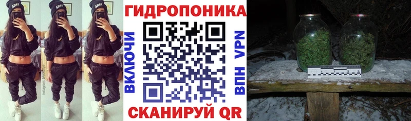 Купить закладки  Чернушка  Каннабис Bruce Banner 